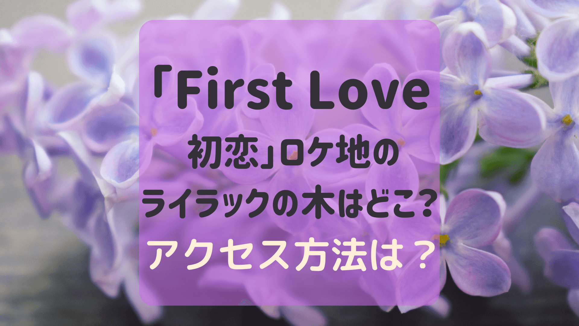 「First Love 初恋」ロケ地のライラックの木　アイキャッチ